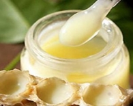 Arı sütü (royal jelly)