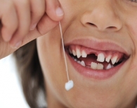 Diş değiştirme,kalıcı dişlerin çıkması