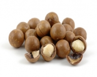 Macadamia /Avustralya fındığı