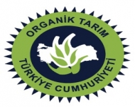 Organik sertifikasyon