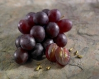 Resveratrol