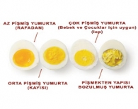 azarlamak daha ucgen yumurta aki bebeklere ne zaman verilir bilsanatolye com